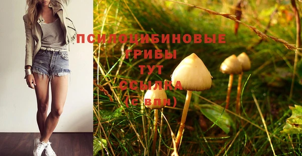 мяу мяу мука Зеленокумск
