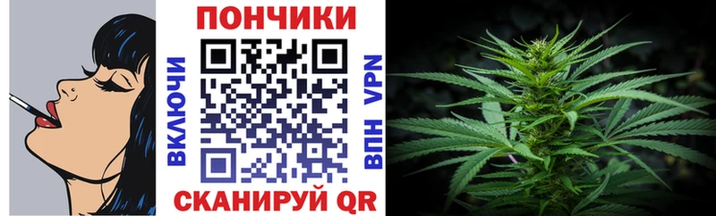 Конопля план  Купить где  Кедровый 